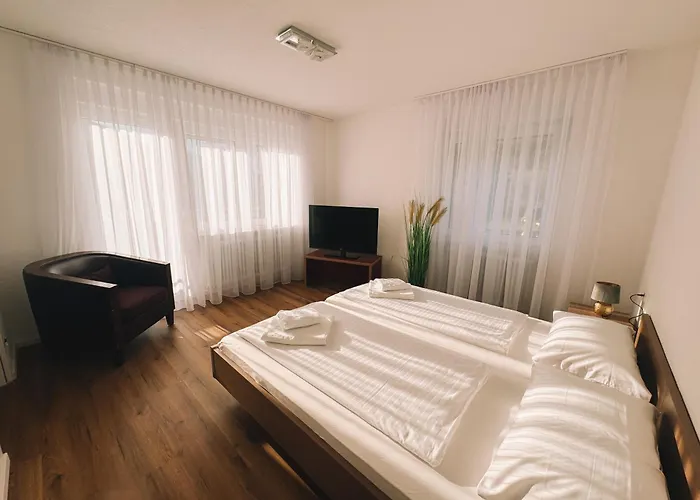 La Frontiera & Eventlocation - Idyllisch, Nah' Der Schweiz - Zum Rheinfall Bei Schaffhausen ホテル