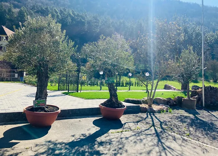 La Frontiera & Eventlocation - Idyllisch, Nah' Der Schweiz - Zum Rheinfall Bei Schaffhausen